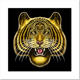 Tiger bengal tiger Siberian tiger big cat Posters and Art